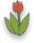 Lilies & ...