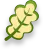 Semi Deciduous