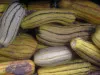 Delicata Curcurbita