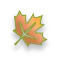 Fall