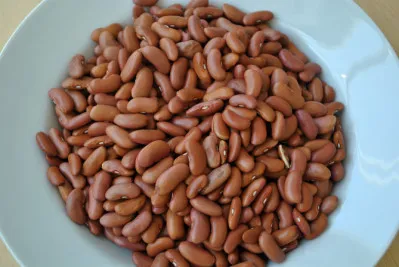 Phaseolus vulgaris