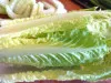 Lactuca sativa longifolia