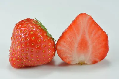 Fragaria x ananassa