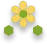 Ephemerals