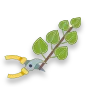Foliage