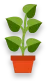 Containers