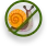 Slugs & Snails