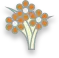 Dry Flowers