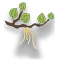Root in Place (layer)