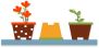 Plants in Pots