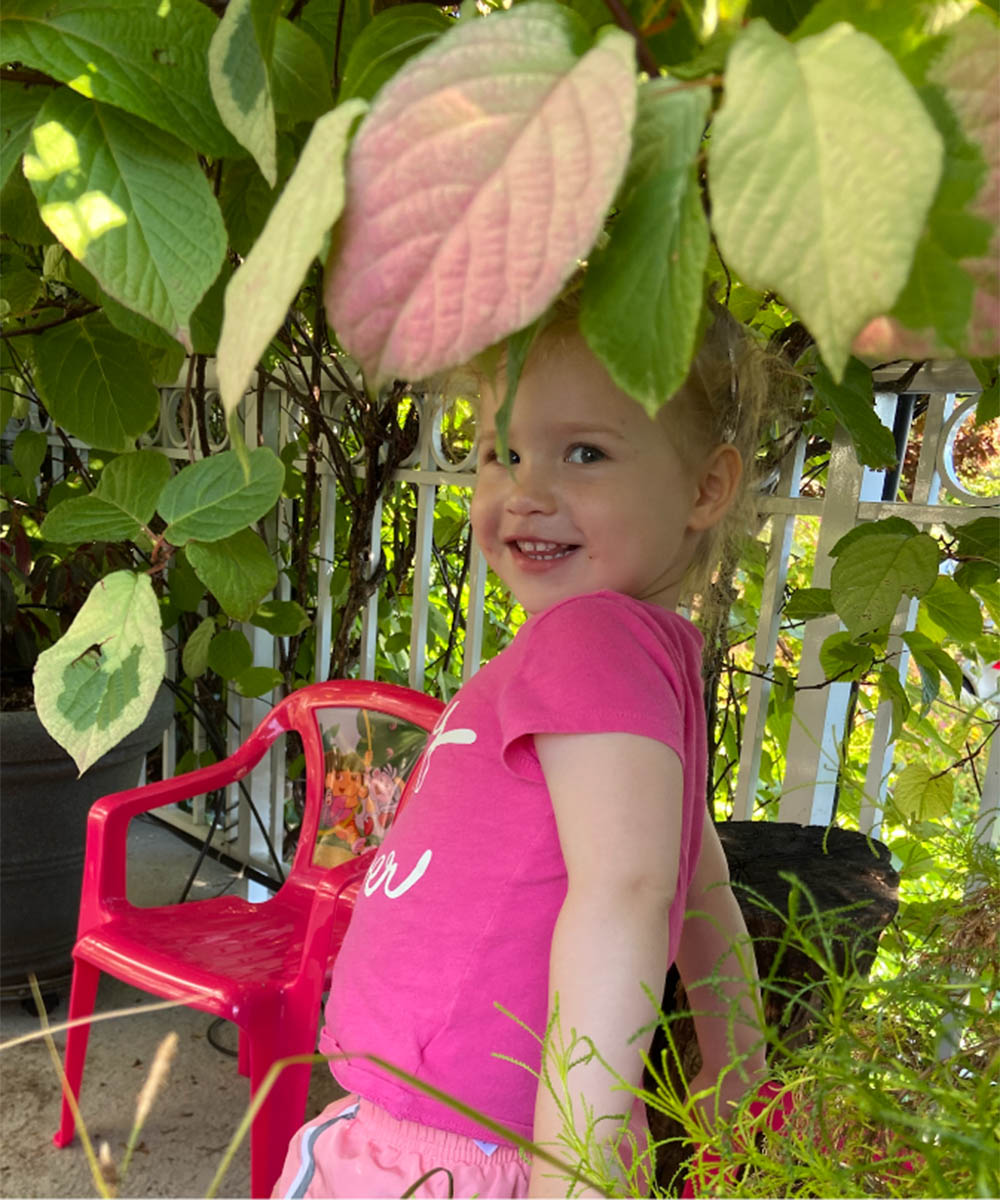 The Kiwi Vine, Part 3 - PlantShare LLC - PlantShare